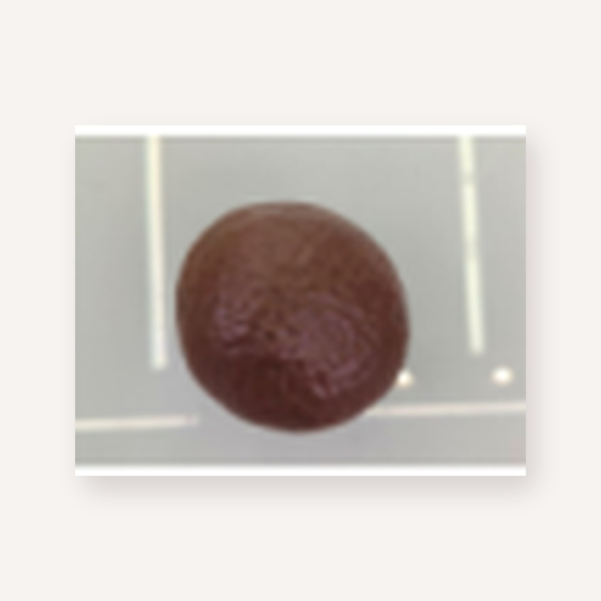 Crunchy Chocolate Pie Squishy